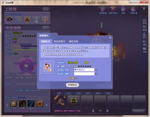 qq炫舞宠物怎么升星[图2]