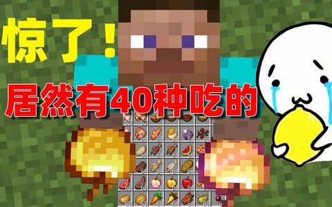 我的世界村民吃什么[图2]
