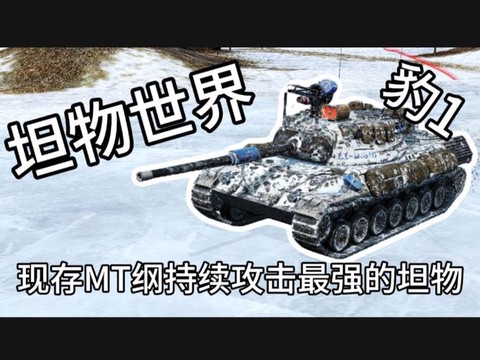 坦克世界mt什么系好[图2]