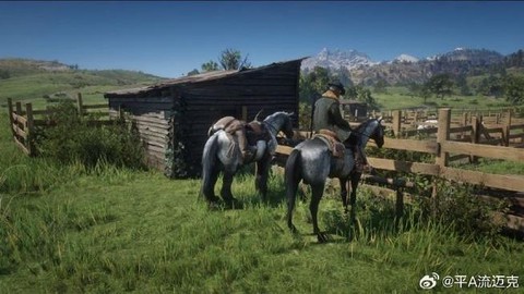 荒野大镖客怎么选弓[图2]