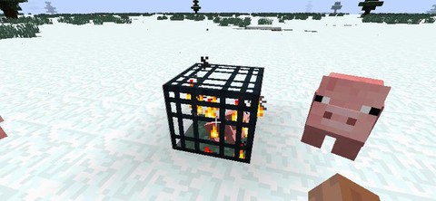 我的世界笼子怎么做[图2]