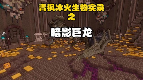 暗影巨龙杀了有什么用[图1]