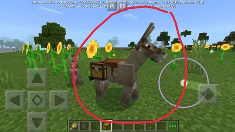 我的世界骡子怎么背箱子[图2]