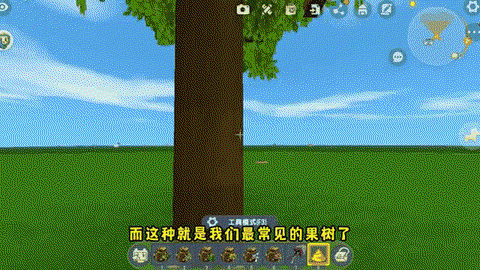 新版迷你世界怎么种树[图1]