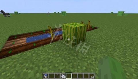 我的世界手机版西瓜怎么种[图2]