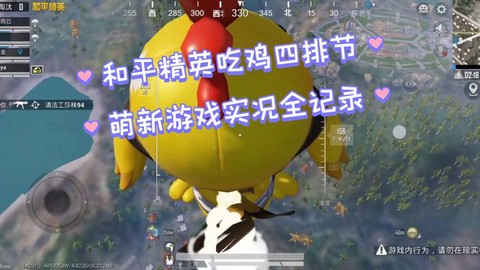 绝地求生萌新什么意思[图1]