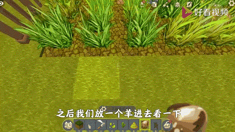 迷你世界怎么种庄稼[图2]